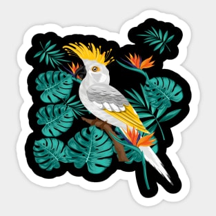 Colorful Bird in nature Sticker